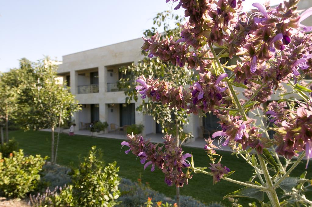 Lavi Kibbutz Hotel Εξωτερικό φωτογραφία